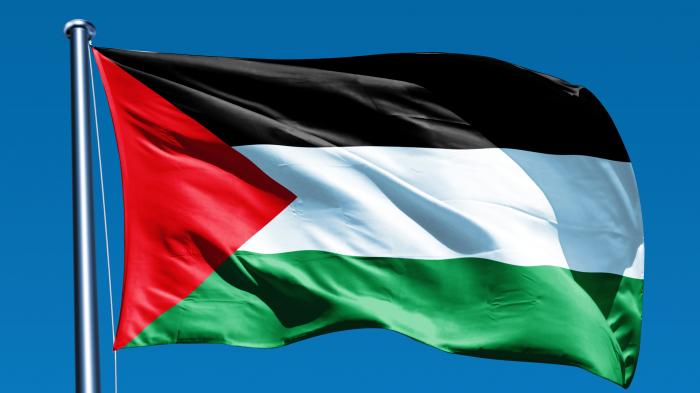 bendera-palestina.jpg