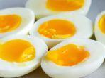 ilustrasi-telur-rebus.jpg