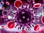 ilustrasi-virus-hiv.jpg