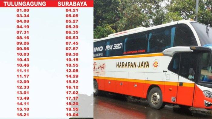 Jadwal Terbaru Keberangkatan Bus Harapan Jaya Trenggalek-Tulungagung-Surabaya