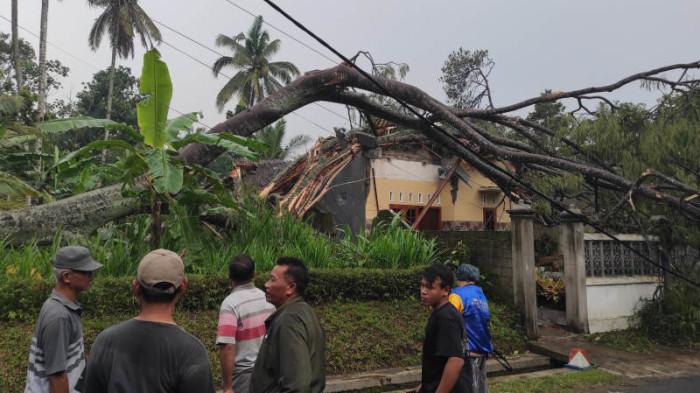 Angin Kencang Landa Modangan Blitar, Rumah Warga Hancur Tertimpa Pohon