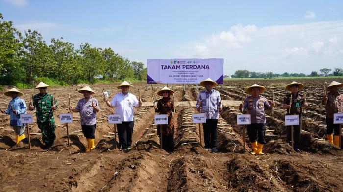 Pemkab Kediri Dorong Petani Sukseskan Swasembada Gula Lewat Program Bongkar Ratoon Tebu Rakyat