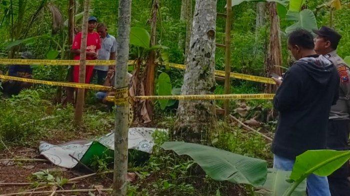 Kakek di Tulungagung Meninggal Seketika Setelah Jatuh Dari Pohon Kelapa Setinggi 15 Meter