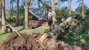 Gazebo-wisata-Bon-C-Blitar-rusak.jpg