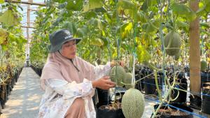 Pengelola-gen-sobo-farm-Kota-Kediri.jpg