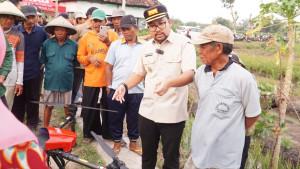 Pengendalian-agen-hayati-pertanian-nganjuk.jpg