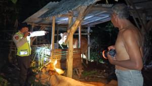 Percobaan-pencurian-sapi-di-Blitar.jpg