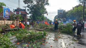 Petugas-melakukan-pembersihan-pohon-tumbang-di-Jl-Mastrip-Kota-Blita.jpg