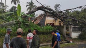 Pohon-tumbang-timpa-rumah-warga-Modangan-blitar.jpg