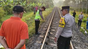lokasi-warga-tertabrak-KA-di-kesamben-blitar.jpg