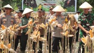 panen-raya-jagung-serentak-tahap-1-di-nganjuk.jpg