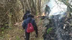 penyebab-kebakaran-gunung-budheg-di-tulungagung.jpg