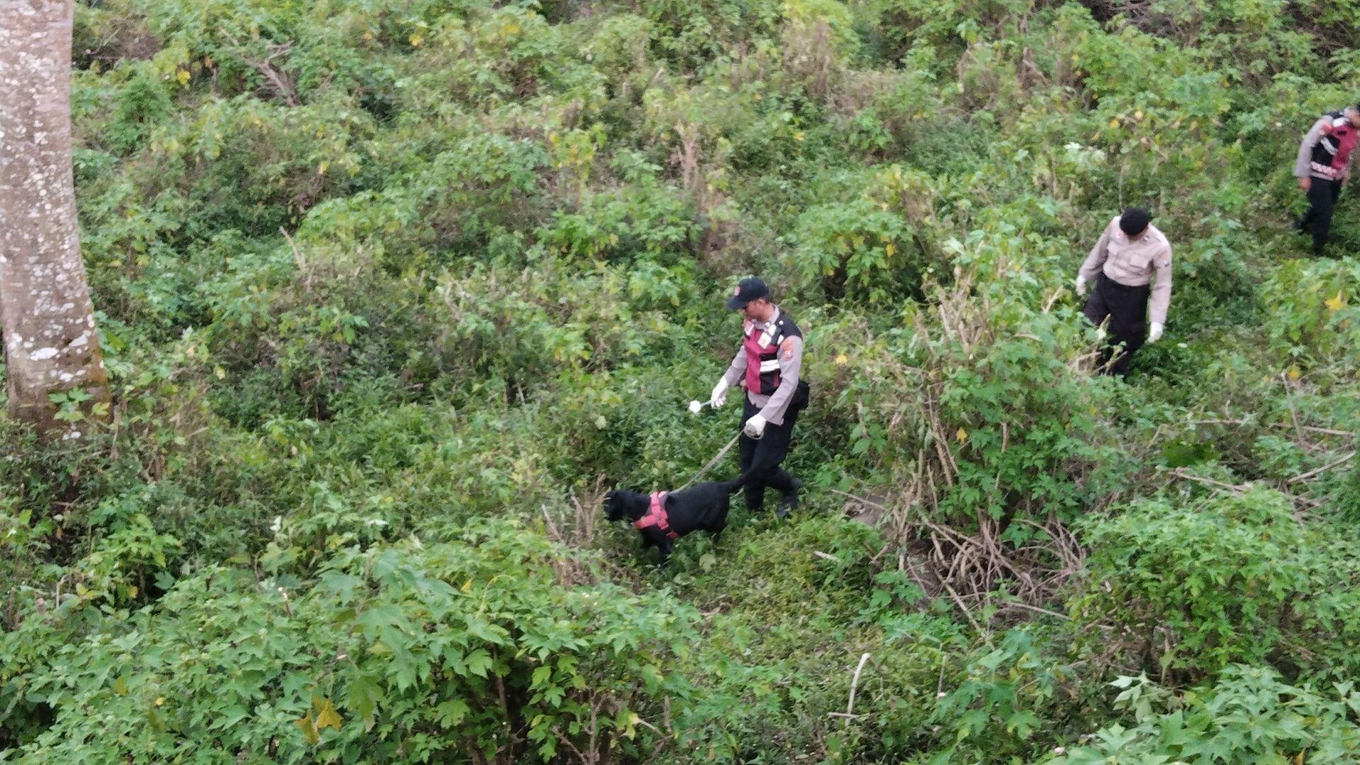 Anjing-pelacak-diterjunkan-Cari-mayat-Cangar-Pacet.jpg