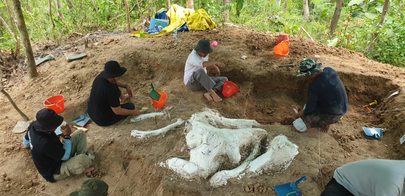 Ekskavasi-fosik-stegodon-nganjuk.jpg