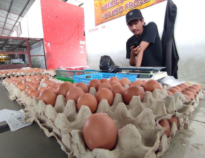 Harga-telur-di-Blitar-mahal-di-akhir-Oktober-2025.jpg