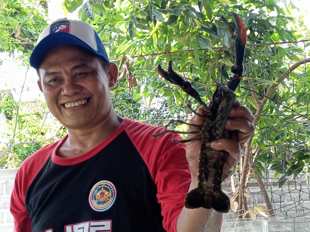 Lobster-air-tawar-tulungagung.jpg
