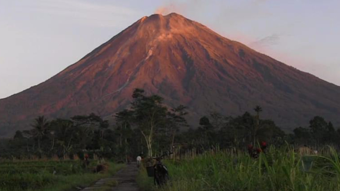 gunung-semeru-erupsi.jpg