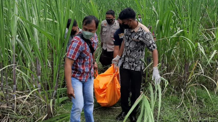 mayat-pria-di-ladang-tebu-di-kabupaten-kediri.jpg