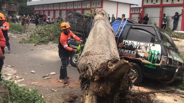 pohon-tumbang-di-pasar-dimoro-kota-blitar.jpg