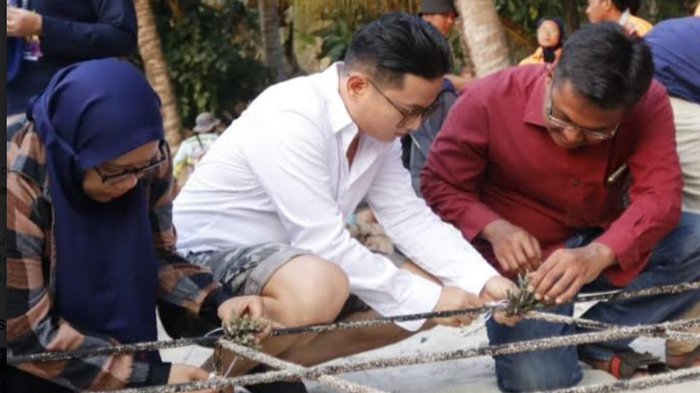 transplantasi-terumbu-karang-di-pantai-mutiara-trenggalek.jpg