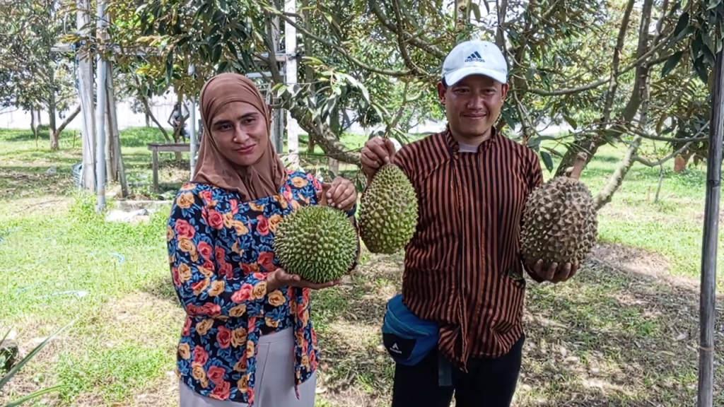 wisata-petik-buah-di-Pinggirsari-Ngantru-Tulungagung.jpg