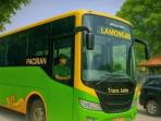 Bus-trans-Jatim-rute-Paciran.jpg