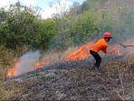 TNI, Polri dan BPBD Trenggalek 1,5 Jam Berjibaku Padamkan Kebakaran Hutan dan Lahan Seluas 3 Hektare