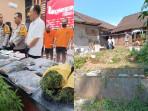 FAKTA BARU Kasus Ladang Ganja di Gandusari Blitar: Pemilik Ladang Beroperasi Sendiri