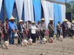 Menanam-jagung-di-lahan-gontor-Kediri.jpg