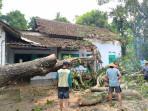 Pembersihan-pohon-tumbang-penataran-blitar.jpg