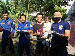 Ular-Sanca-teror-warga.jpg