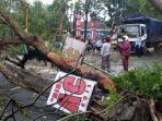enam-pohon-tumbang-di-jl-nasional-kedungwaru-tulungagung.jpg
