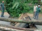 jembatan-ambrol-di-panggul-trenggalek.jpg