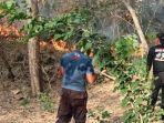 kebakaran-hutan-di-sanggrahan-boyolangu-tulungagung.jpg