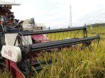 luas-lahan-padi-di-tulungagung-menyusut.jpg