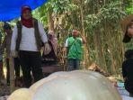 pemeriksaan-hewan-di-kota-blitar-oleh-DKPP.jpg