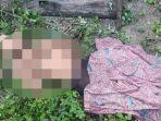 pengeroyokan-pelajar-SMK-di-Brebes.jpg