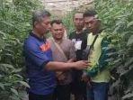 produksi-pertanian-kabupaten-blitar-menurun.jpg