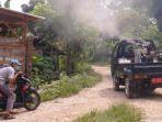 serangan-demam-berdarah-di-tulungagung.jpg
