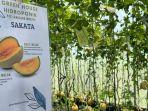urban-farming-di-kota-kediri.jpg