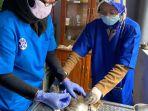 vaksin-rabies-gratis-di-trenggalek.jpg