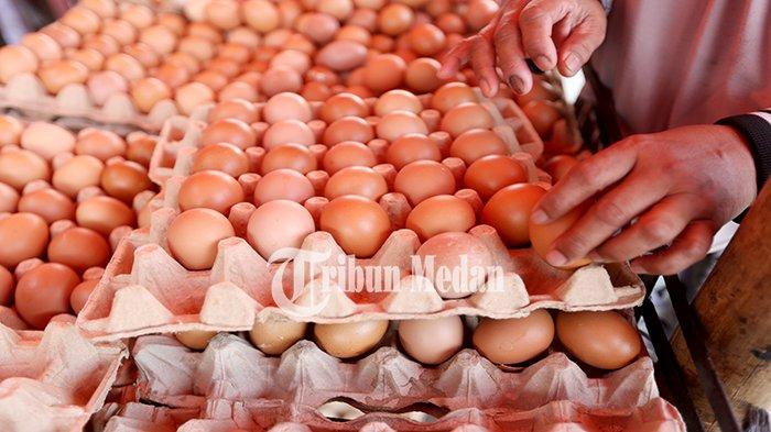 Awas! Jenis Telur Ayam Ini Tidak Aman Dikonsumsi Menurut Ahli