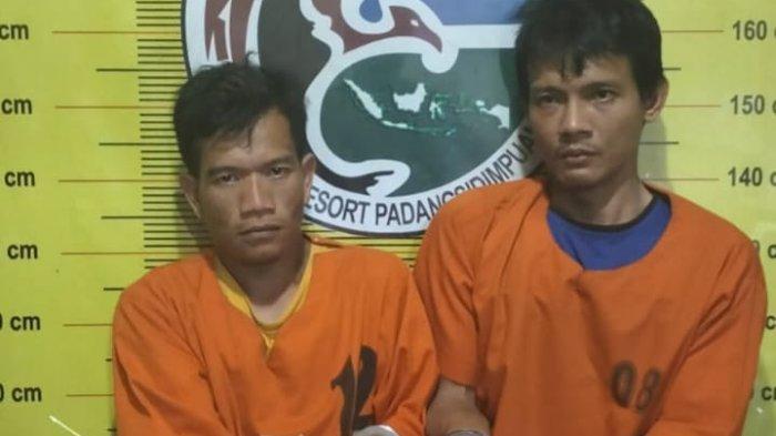Asyik Nyabu, 2 Residivis Narkoba Dibekuk Polres Padangsidinpuan