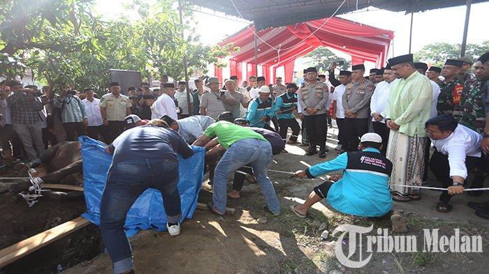 Wali Kota Medan Bobby Nasution (kanan) melihat proses hewan kurban disembelih di Lapangan Bola Mabar Jalan Mangaan VI, Kota Medan, Kamis (29/6) pagi. Pemko Medan mengadakan salat idul adha 1444 hijriah dengan tema indahnya berbagi untuk meraih taqwa, bertindah sebagai Imam Madkasad Lubis (Qori Internasional) dan Khatib Syukri Albani Nasution (Sekretaris Umum MUI Kota Medan).