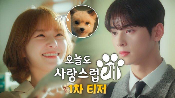 Daftar 5 Drakor Populer di Viki Bulan Oktober 2023, Ada Drama Cha Eun Woo, A Good Day to Be a Dog