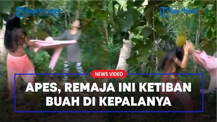 APES! Niat Menghindar, Kepala Remaja Perempuan Ini Ketiban Buah Dari Pohon
