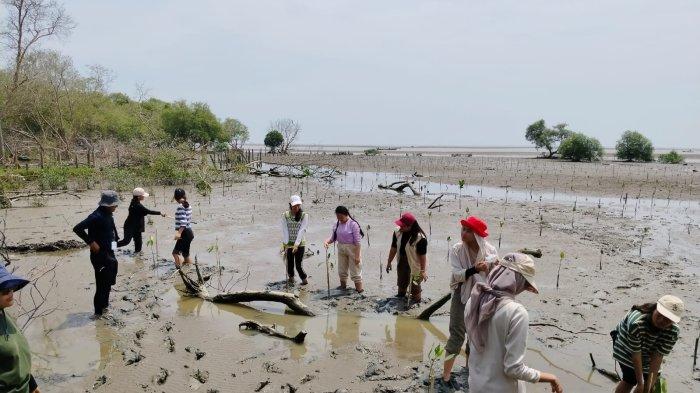 Aksi dari Konservasi Indonesia dalam memperingati hari bumi 2024, di Pantai Labu Pesisir Sumatera Utara, Sabtu (27/4/2024).