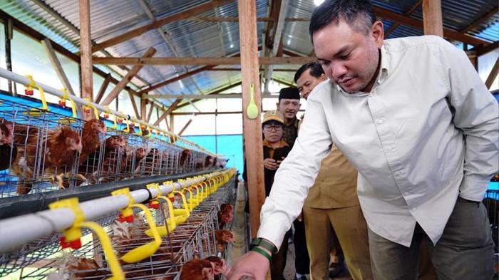 BUPATI Senang Melihat Pengembangan Peternakan Ayam Petelur di Sukarami Mulai Menunjukkan Kemajuan