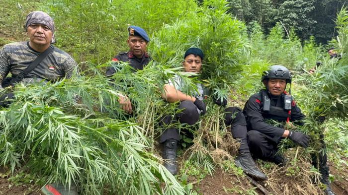 Bakar ganja di tor sihite