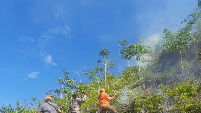 Bukit Teletubbies kota Padang Sidempuan Terbakar, Kapolres Kerahkan Personel Bantu Pemadaman